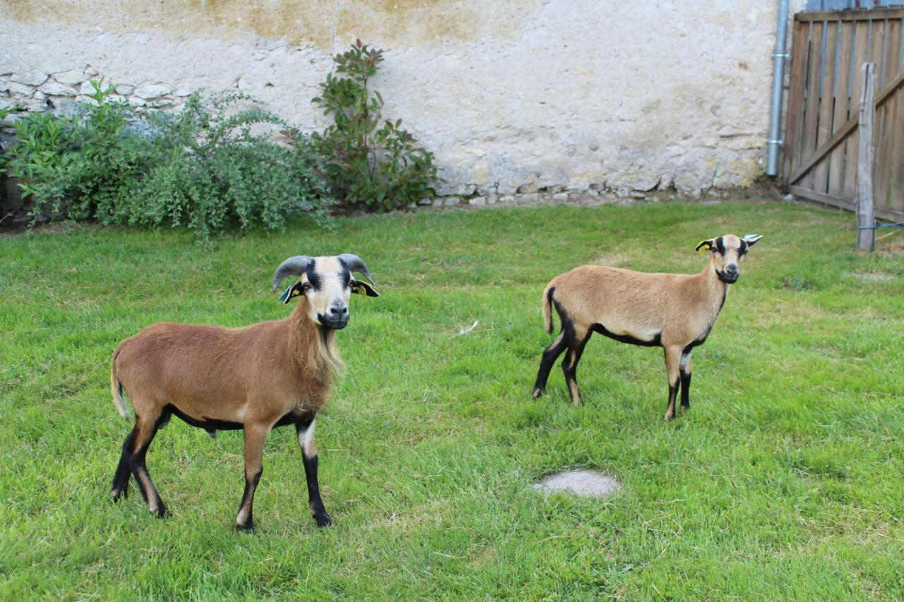 Ferme Des Poulardieres Crouy-sur-Cosson Exterior photo